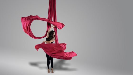 Pole dance e arti aeree Legnano Lainate Be Art Studio